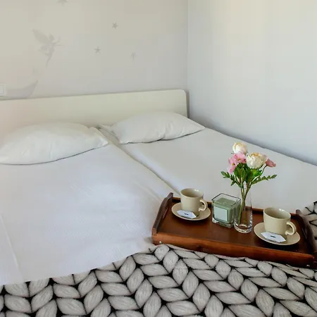 Apartment Unique With Balcony And Parking By Renters *