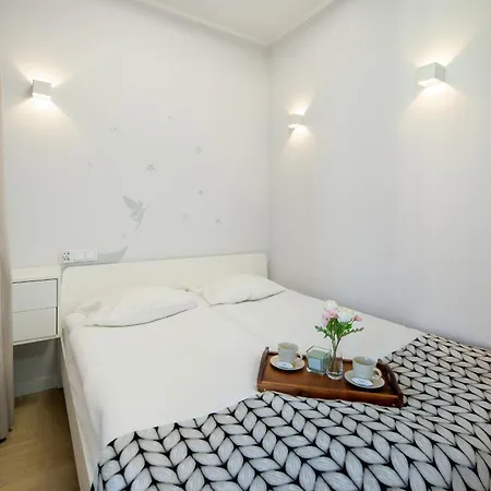 Unique With Balcony And Parking By Renters Apartment *